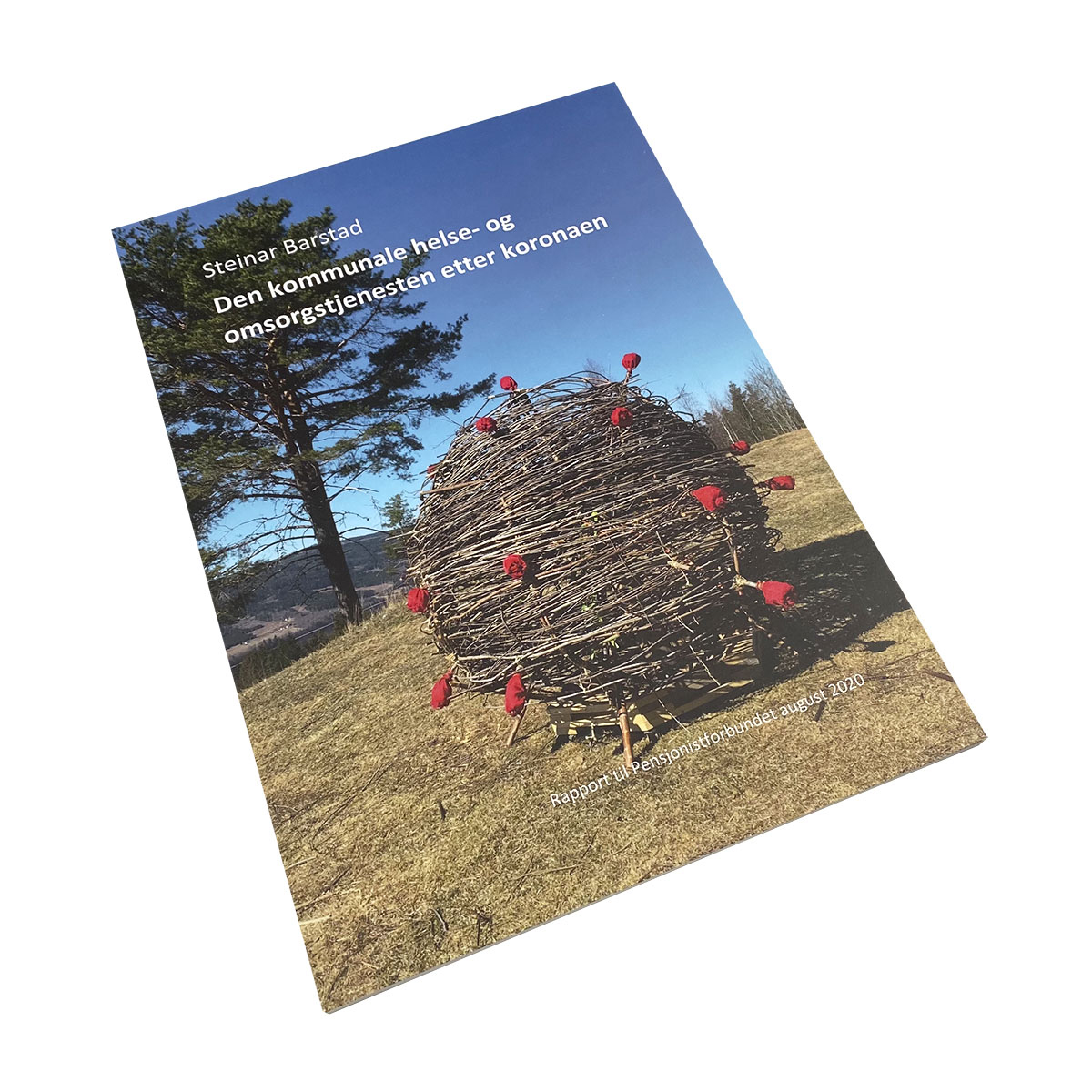 Den kommunale helse- og omsorgstjenesten etter koronaen